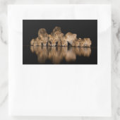 Lion Pride Drinks at the Water Hole at Night 長方形シール (バッグ)