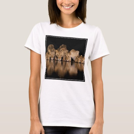 Lion Pride Drinks at the Water Hole at Night Tシャツ (正面)