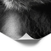 Lion Remember Who You Are フォトプリント (角)