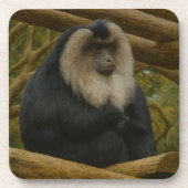 Lion-Tailed Macaque in Forest Sanctuary コースター (正面)