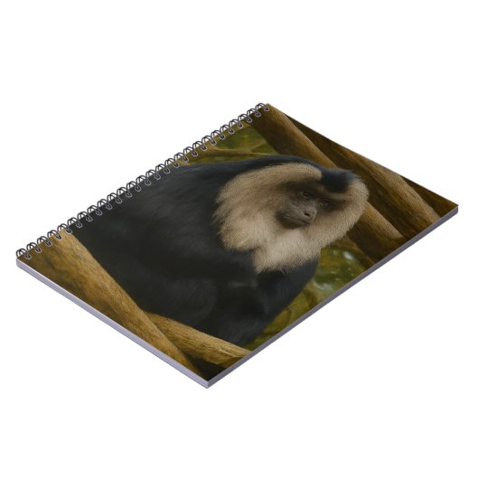 Lion-Tailed Macaque in Forest Sanctuary ノートブック (左側)