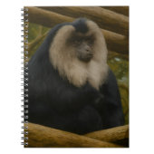 Lion-Tailed Macaque in Forest Sanctuary ノートブック (正面)