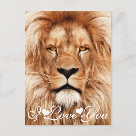 Lion The King Photo 絵画's I Love You ポストカード (正面)