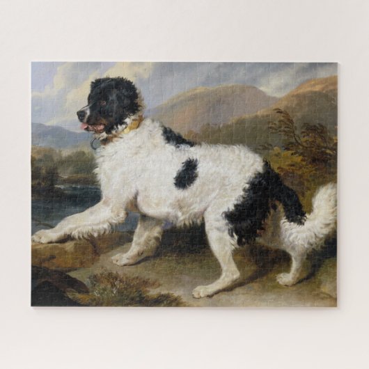 Lion:  The Newfoundland Dog Jigsaw Puzzle ジグソーパズル (横)