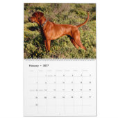 Liondog - Rhodesian Ridgeback Calendar 2027 カレンダー (2月 2027)