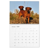 Liondog - Rhodesian Ridgeback Calendar 2027 カレンダー (1月 2027)