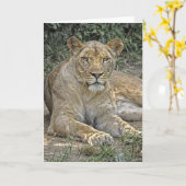 Lionessグリーティングカード カード (黄色い花)