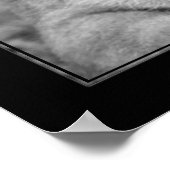 Lioness （BWバージョン） ポスター (角)