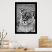 Lioness （BWバージョン） ポスター (キッチン)