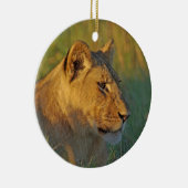 Lioness in Afternoon Light セラミックオーナメント (右)