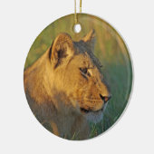 Lioness in Afternoon Light セラミックオーナメント (左)