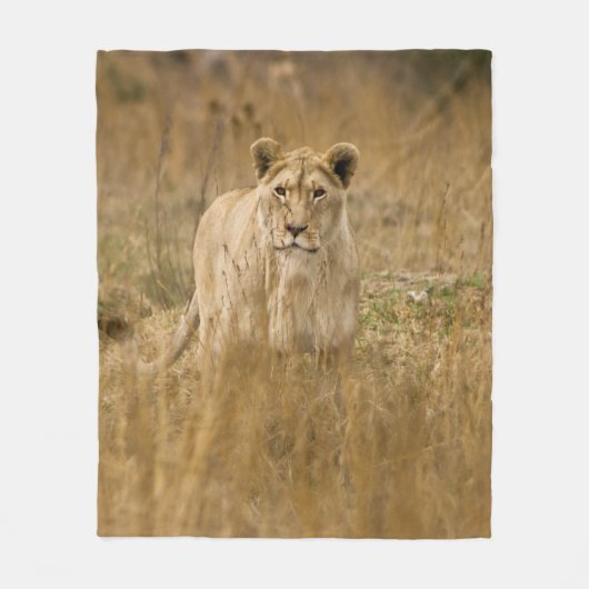 LIONESS IN THE GRASS フリースブランケット (正面)