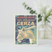 Lioness、Normandy FranceのCerza Zoological park ポストカード (スタンド正面)