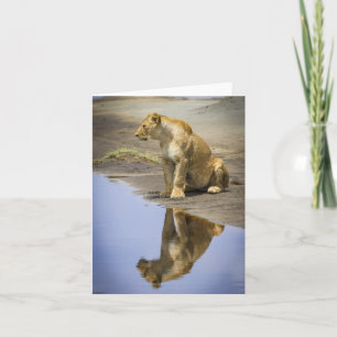 Lioness Reflectionノートカード カード