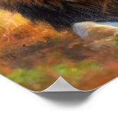 Lioness with Cub ポスター (角)