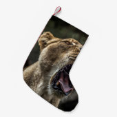 LIONESS YAWNING スモールクリスマスストッキング (正面 (吊り時))