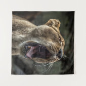 LIONESS YAWNING タペストリー (正面(横))