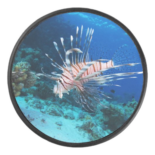 LionfishまたはPterois Miles、海リーフフィッシュ アイスホッケーパック (正面)