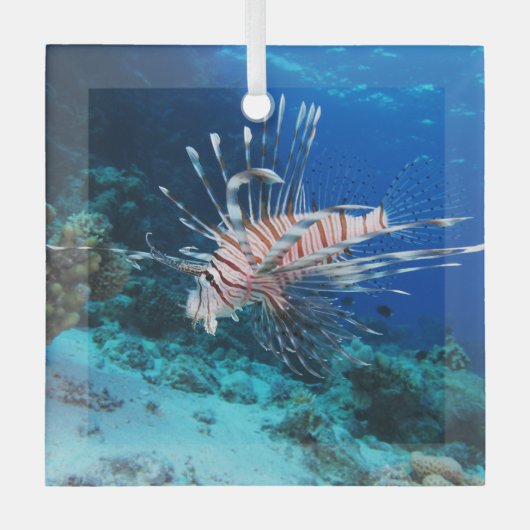 LionfishまたはPterois Miles、海リーフフィッシュ ガラスオーナメント (正面)