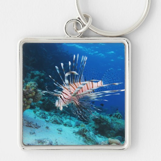 LionfishまたはPterois Miles、海リーフフィッシュ キーホルダー (正面)