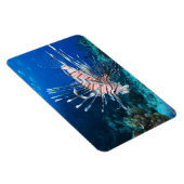 LionfishまたはPterois Miles、海リーフフィッシュ マグネット (右側)