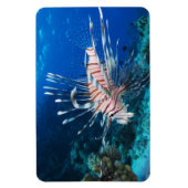 LionfishまたはPterois Miles、海リーフフィッシュ マグネット (縦)