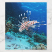 LionfishまたはPterois Miles、海リーフフィッシュ ワインラベル (シングルラベル)