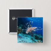 LionfishまたはPterois Miles、海リーフフィッシュ 缶バッジ (正面&裏面)