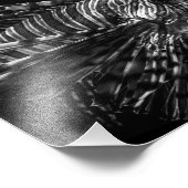 Lionfish – フォトプリント (角)