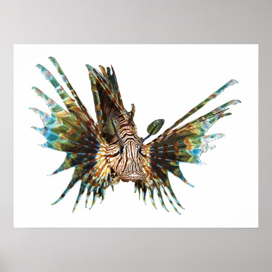 Lionfish -抽象デザイン – 写真の切り取り | ポスター (正面)