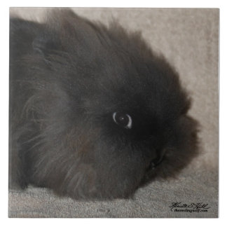 Lionheadの黒いウサギ タイル