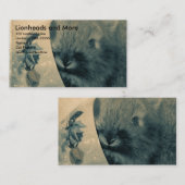 Lionheadsとその他 名刺 (正面/裏面)