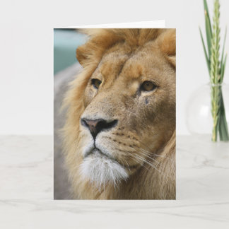LionKing カード