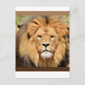 Lions Head Postcard ポストカード (正面)