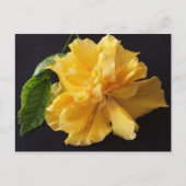 Lisa 1 – 教育用のbrainfart ポストカード (正面)