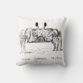 Literal Lateral Thinking クッション (正面)