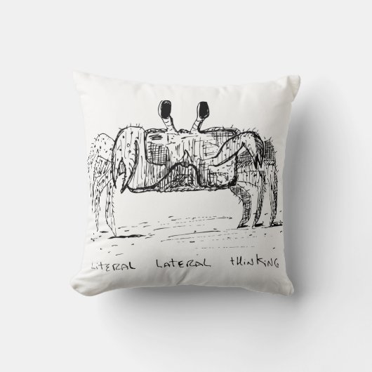 Literal Lateral Thinking クッション (正面)