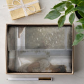 Literary Window Seat Reader Decompage 薄葉紙 (ギフト)