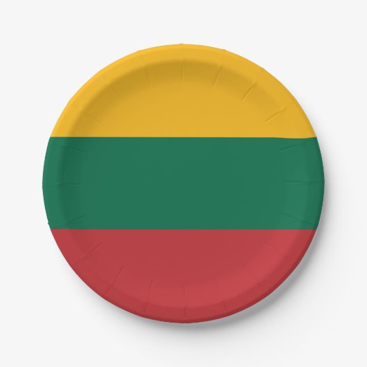 Lithuania Flag ペーパープレート (正面)