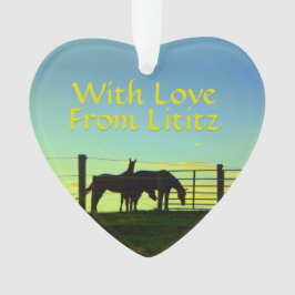 Lititzのオーナメント! 農場の生命! 個人化して下さい! オーナメント