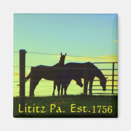 Lititz Paのサンセットで馬。マグネット マグネット (正面)