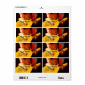 LITTLE ANGELの遊LUTE MUSIC Making Cherub ラベル (フルシート)