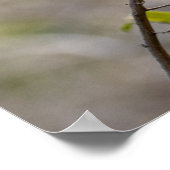 「Little Bee-eater on Branch」 – アフリカンバードポスター ポスター (角)