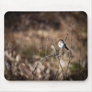 Little Bird マウスパッド