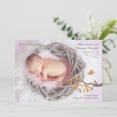 Little Birds Photo Birth発表 案内状 (スタンド正面)