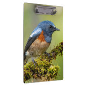 Little blue bird クリップボード (右)