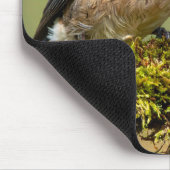 Little blue bird マウスパッド (コーナー)