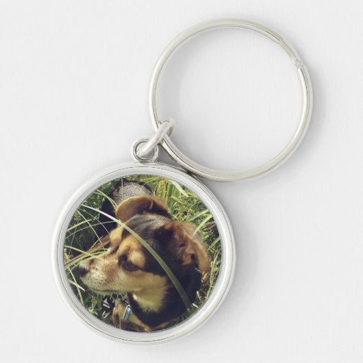 Little Chihuahua In Grass キーホルダー (正面)