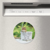 Little Chipmunk測定等価磁石 マグネット (インサイチュ (食洗機))