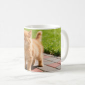 Little cute  orange cat  コーヒーマグカップ (正面右)